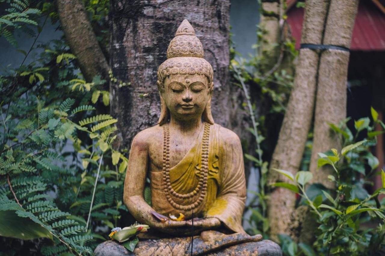 Nawa Sakti Ubud Suite المظهر الخارجي الصورة